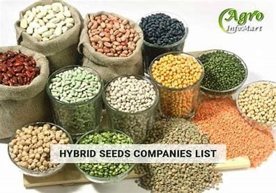 Key Factors and Benefits of Seeds as a Nutrient Source 4 OIF 4