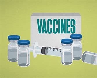 Vaccines: Formation and Application 2 OIP 2024 10 18T080005.959
