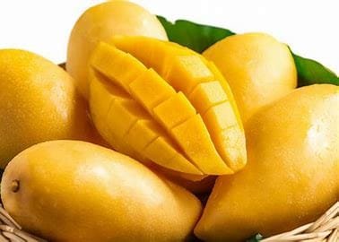 Mango: Biological Features and Importance 4 OIP 2024 10 20T065353.753 1