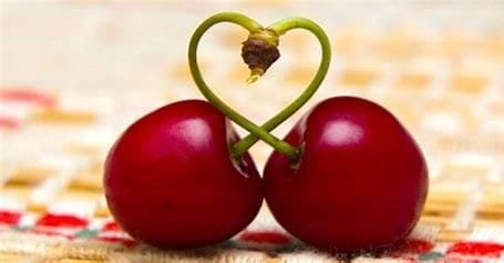 The health benefits of cherries: A nutritional and biological perspective 3 OIP 2024 10 23T013510.699