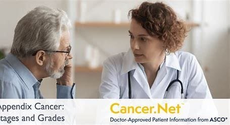 Appendix Cancer: An Overview 2 OIP 2024 10 24T233854.735