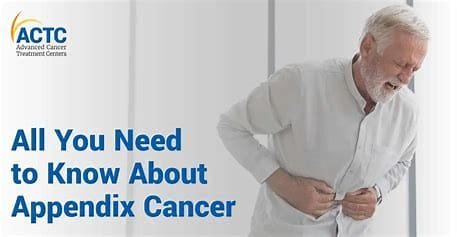 Appendix Cancer: An Overview 3 OIP 2024 10 24T234049.815