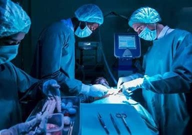 "Heart Disease and the Lifesaving Impact of Bypass Surgery: 4 OIP 2024 10 27T231248.185