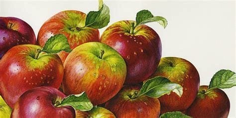 "Apple Puree: A Healthy Start for Your Child’s Diet" 3 OIP 2024 10 28T002857.316