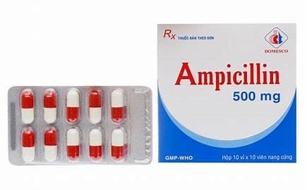 Ampicillin Overview 3 OIP 2024 10 28T224125.535