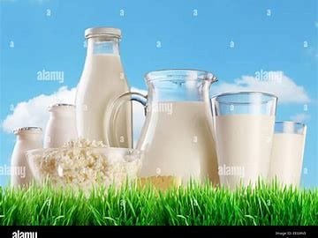 Overview of Dairy Products and Their Impact on Human Health 4 OIP 77