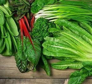 The Power of Green Vegetables: Key to Good Health and Living 2 download 12
