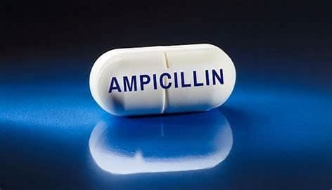 Ampicillin Overview 2 download 2024 10 28T224159.715