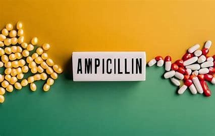 Ampicillin Overview 4 download 2024 10 28T224318.714 1