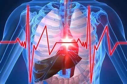 Heart Attack: How is a Heart Attack Identified? What are the risks and signs of a heart attack? Its Impact on Human Life 4 download 40