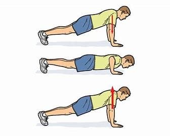 Push-ups: The Comprehensive Fitness Book 4 download 58