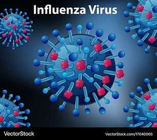 Influenza virus: structure, types, transmission, and treatment 3 download 6