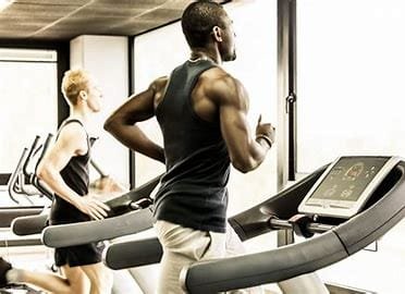 Maximizing Experience at the Gym: A Comprehensive Guide to Exercise Introduction 3 download 74