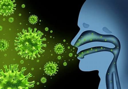 Influenza virus: structure, types, transmission, and treatment 2 th 10