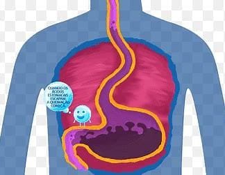 Medications for Stomach Pain: Types, Formulations, and Mechanisms of Action 3 th 27