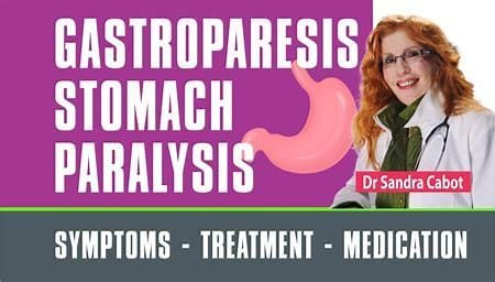 Gastroparesis: Knowing Causes, Symptoms, and Treatment 4 OIP 2024 11 02T212001.975