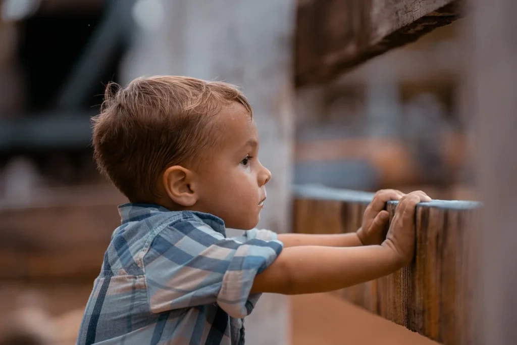 Effective Discipline: Raising Kids with Patience and Consistency 2 boy 8209561 1280