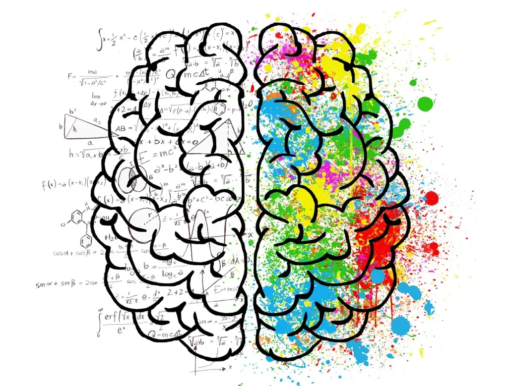 Biological Theories of Psychology and Their Applications 4 brain 2062057 1280