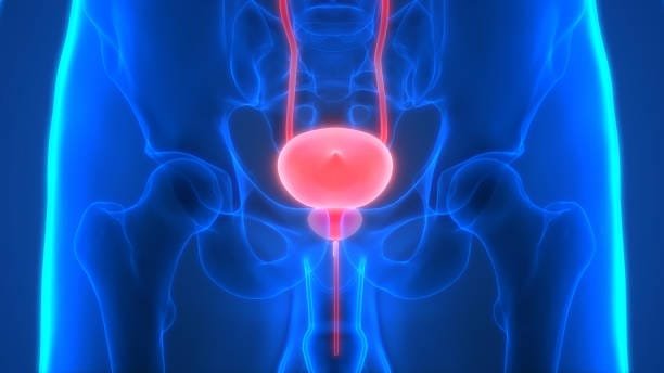 "7 Powerful Facts About Enlarged Prostate Symptoms You Can’t Ignore" 4 istockphoto 1054483436 612x612 1
