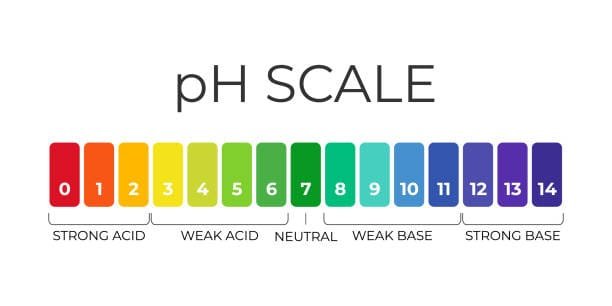 "Maintaining pH and Glucose Balance for Optimal Health" 4 istockphoto 1324763992 612x612 2