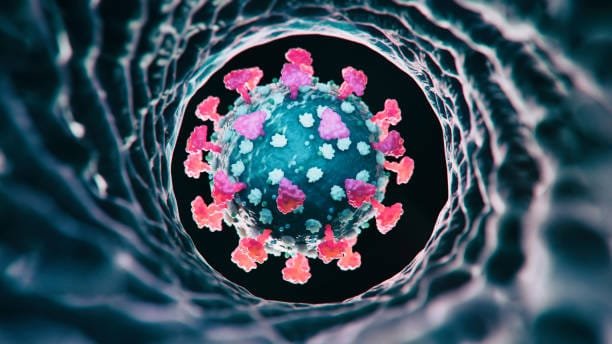 "A Complete Guide to Ovarian Cancer: Symptoms, Stages, and Treatment" 3 istockphoto 1435658243 612x612 1