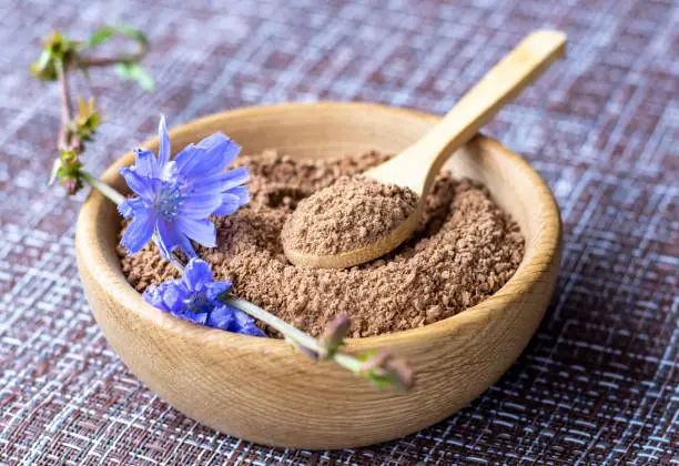 Chicory (Cichorium intybus): A Review 4 istockphoto 1668115222 612x612 1