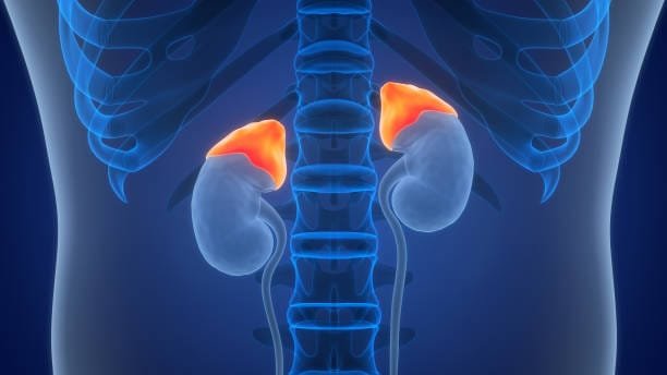 "7 Powerful Facts About Enlarged Prostate Symptoms You Can’t Ignore" 2 istockphoto 1948916786 612x612 1