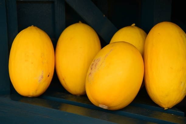 The Complete Guide to Canary Melons: Nutrition, Benefits, Uses, and More 4 istockphoto 995024762 612x612 1