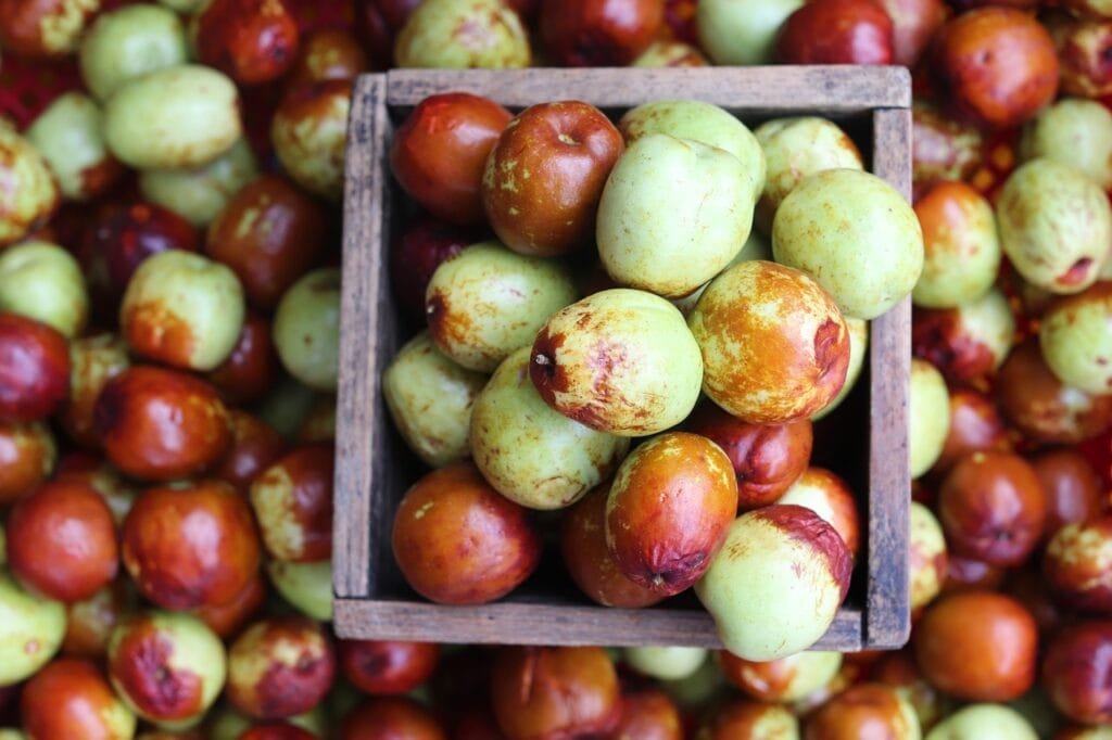 7 Health Benefits of Jujube Fruit: Nature's Nutrient Rich Powerhouse 3 jujube 2774705 1280
