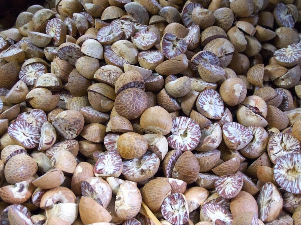 General Overview of Nutmeg Fruit 3 nutmeg 441645 1280