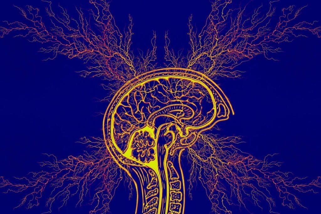 "7 Clear ADHD Symptoms You Must Know: Powerful Insights & Solutions for Better Focus" 4 tourette syndrome 7194132 1280