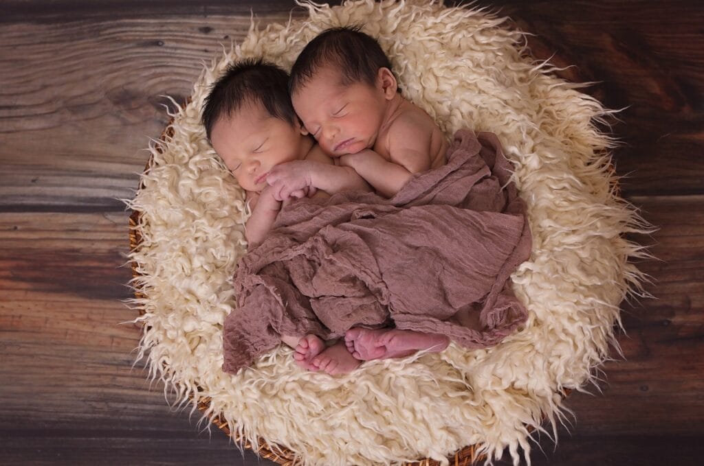 "Identical Twins: Formation, Causes, Risks, and Health Implications" 4 twins 1628843 1280 1